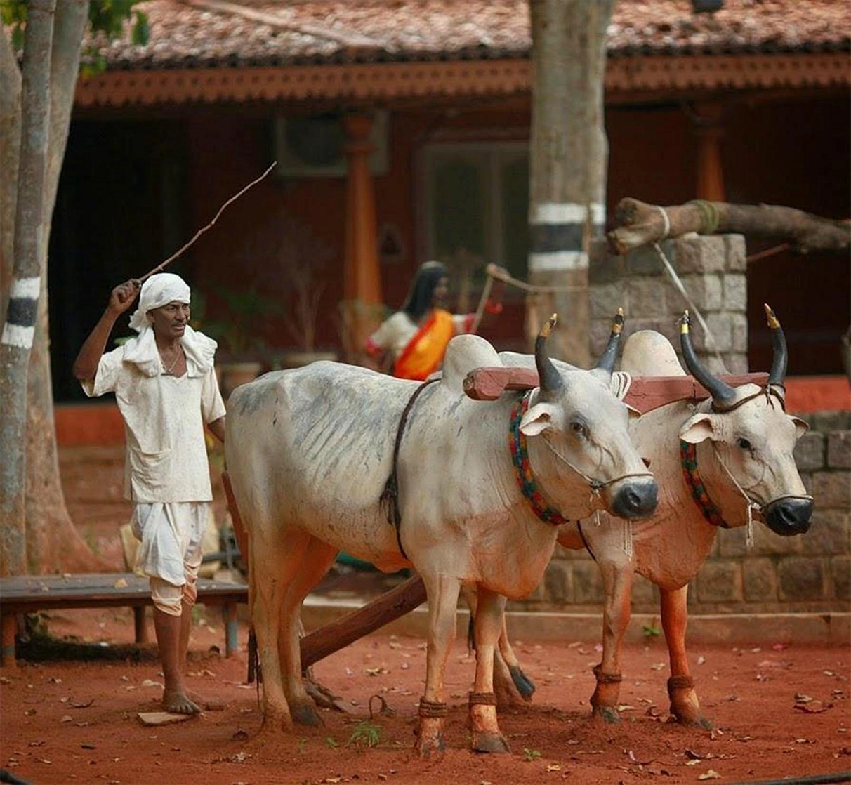 Rural Lifestyle