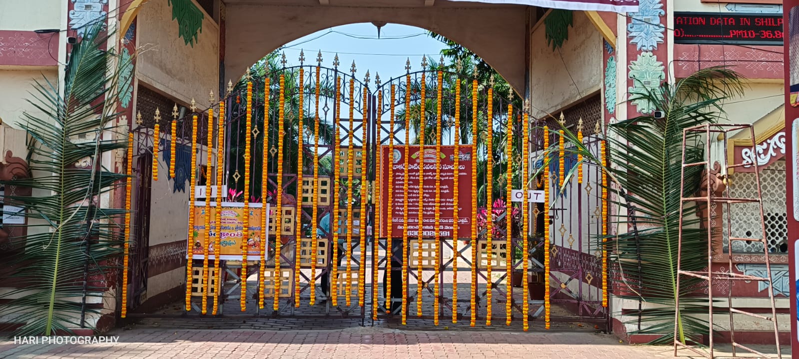 Sankranthi Sambaralu 2025 @ Visakhapatnam — photo 6